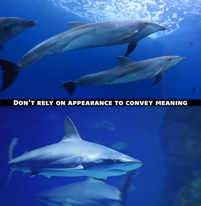 Photo of dolphins and sharks, visually similar in so many ways. Text: Do not rely on appearance to convey meaning
