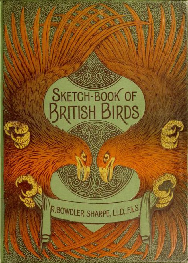 Beautiful book cover design with two birds of prey facing off, wings spread to cover most of the image